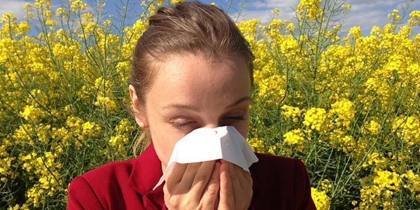 Luchtreinigers tegen hooikoorts allergie.